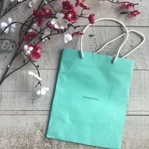 Tiffany & Co gift bag
